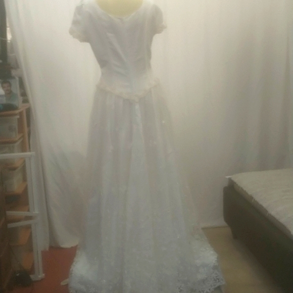 Wedding Gown - Picture 11 of 12